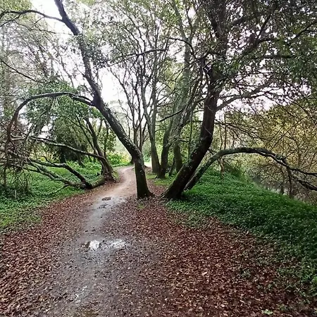 Aqualecer Montalvo Holiday home *