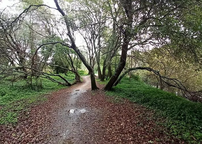 Aqualecer Montalvo Hébergement de vacances *
